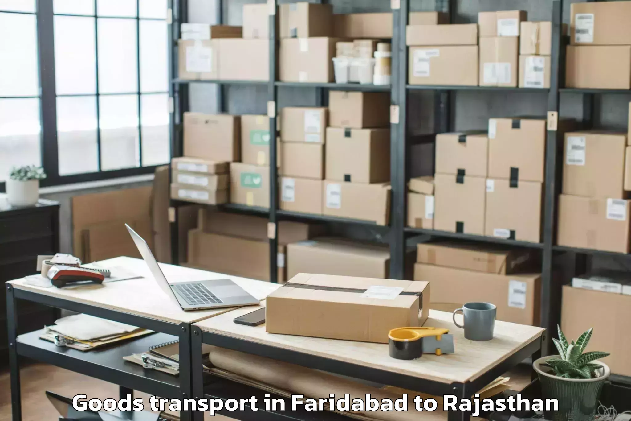 Expert Faridabad to Lakheri Goods Transport